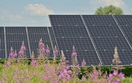The Wind and the Sun Outpaced Coal: A Key Change in the World's Energy Landscape