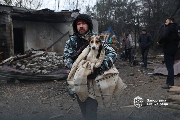 Обстрел Запорожья: жертвами стали животные и люди