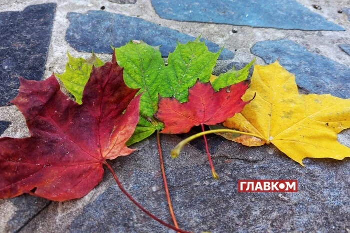 В октябре в Украине ожидается потепление: синоптики назвали даты