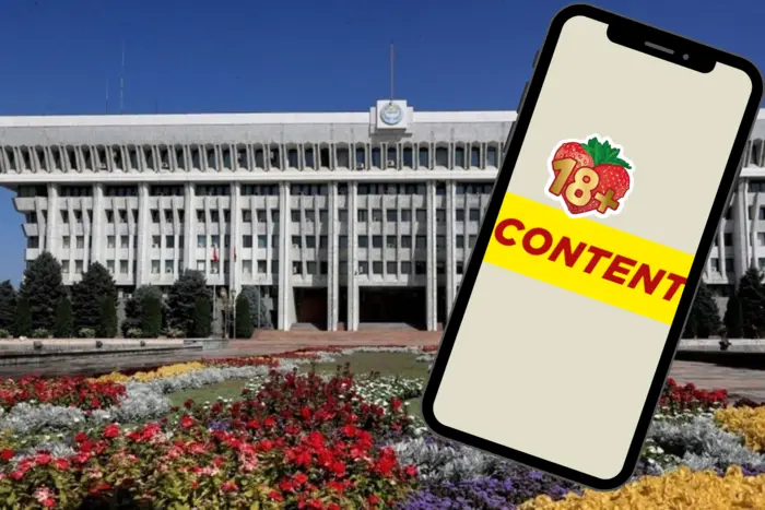 Киргизстан повністю заборонив сайти для дорослих