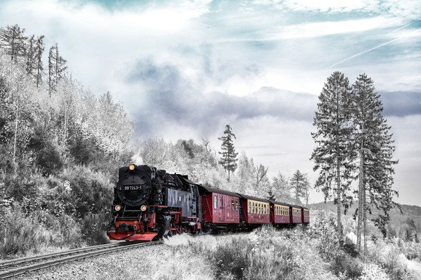 Святі Данило, Ілля, Макар і Павло