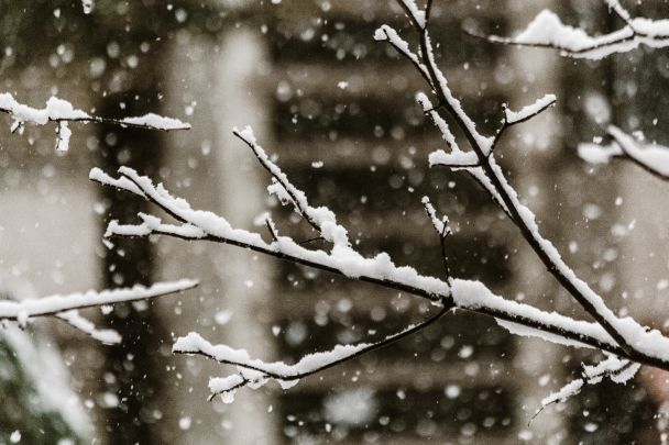 19 февраля ожидаются сильные морозы до -13° и гололедица