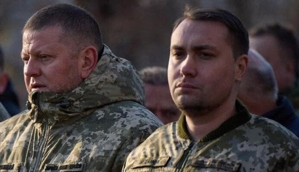 Довіра до Буданова і Залужного