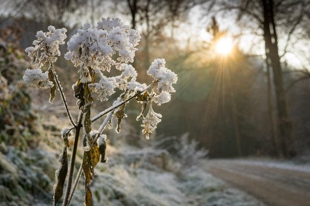 День ангела 30 грудня імена святих