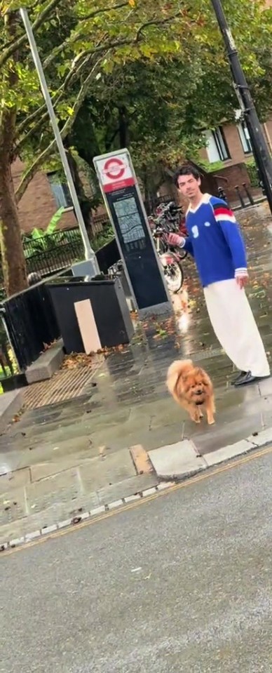 Joe Jonas in London: Jonas Brothers star lost in the city with a stranger's dog