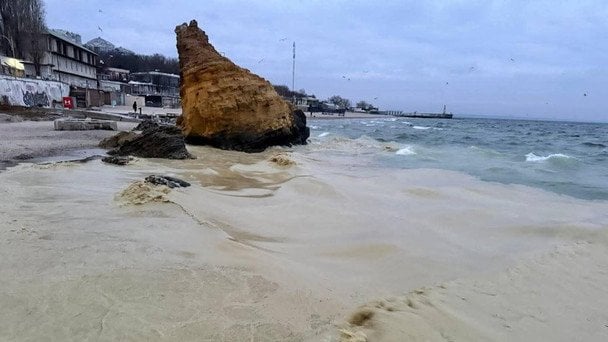 Російські удари спричинили розлив олії в Чорному морі: наслідки для екосистеми