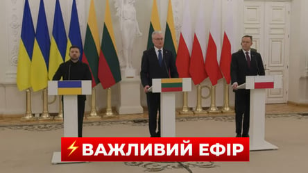 Zelensky in Vilnius: Gipfeltreffen zu historischem Erbe mit Polen und Litauen