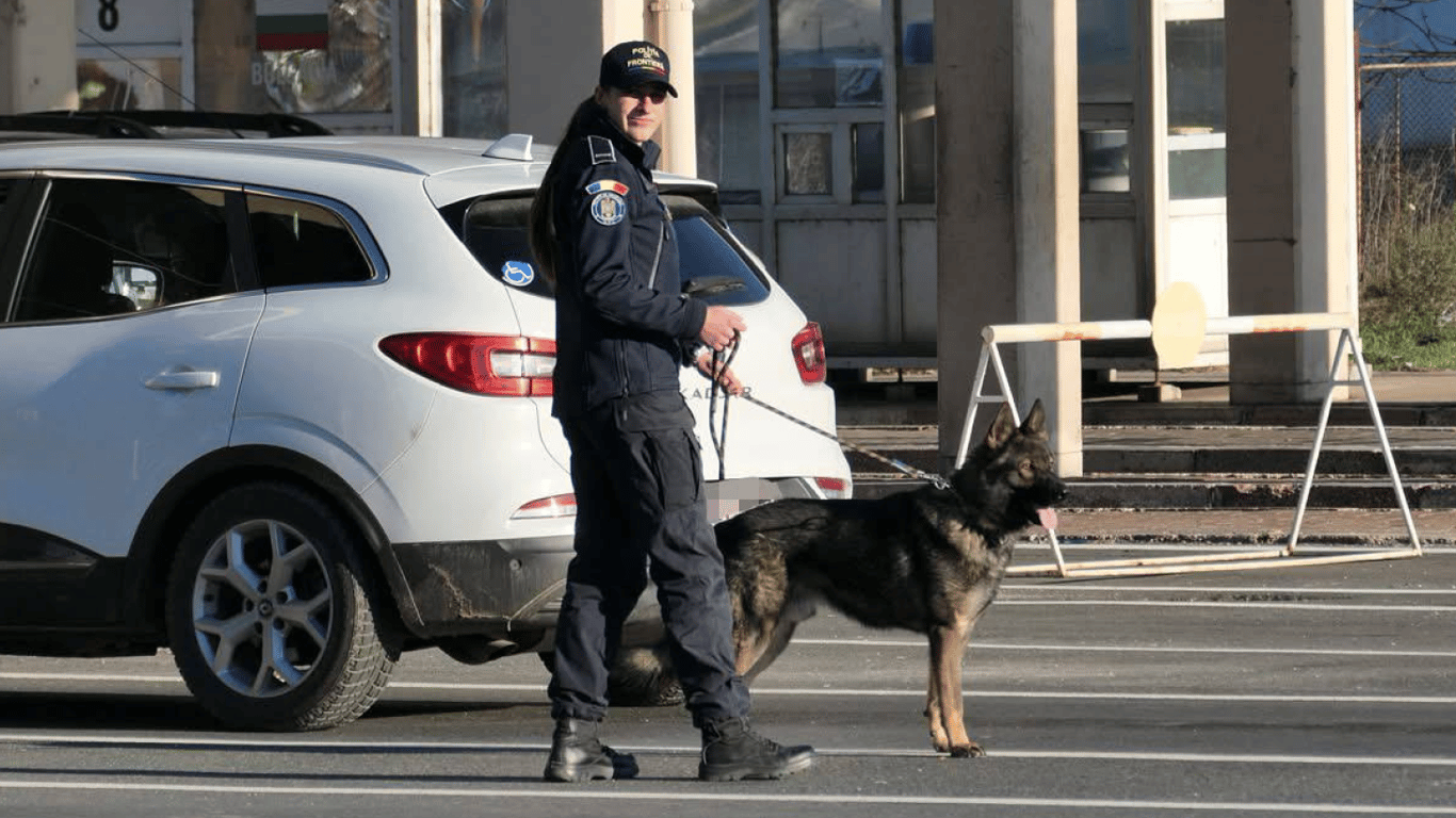 Перевірка техогляду на кордоні