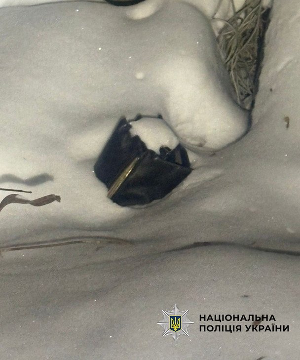 Затримання нападника у Києві