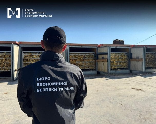 Украина в 2025 году: теневой оборот сигарет снизился, а объемы изъятий выросли