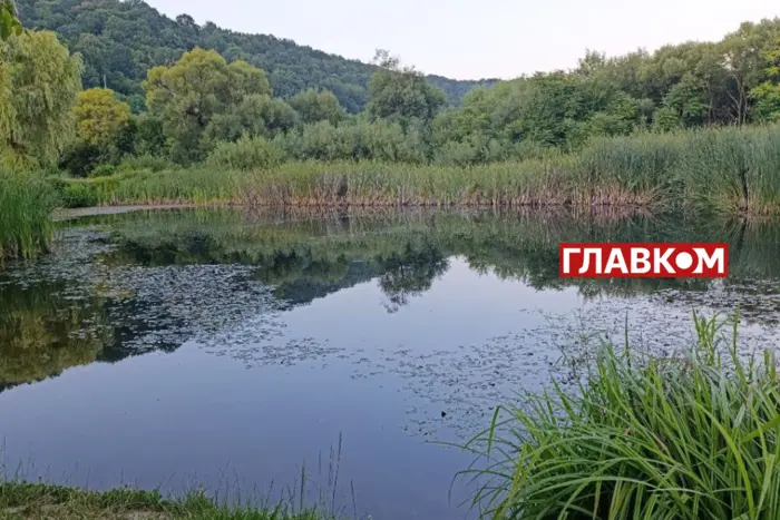 В Украину на следующей неделе придут дожди: детальный прогноз погоды по регионам
