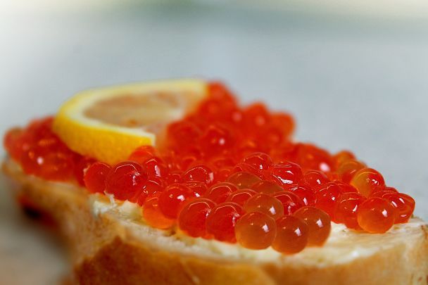 Jak odróżnić prawdziwy kawior od fałszywego: prosty test gorącą wodą