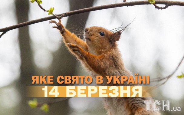 8 świąt 14 marca 2026: Dzień Ochotnika, święto liczby Pi i inne