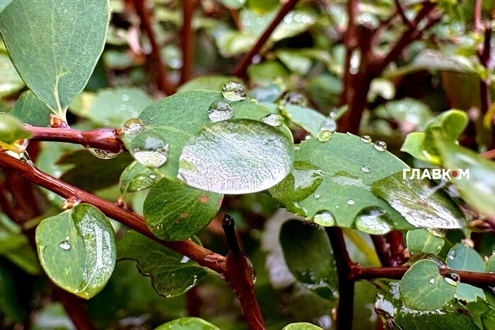 Der 4. Oktober bringt Regen mit Gewittern nach Ukraine: Wo sind Windböen zu erwarten