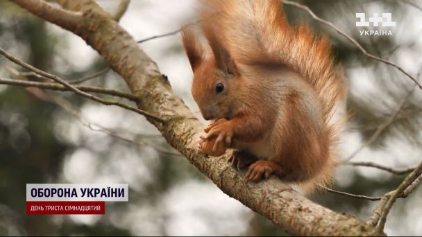 Po najcieplejszym dniu tygodnia nadchodzi ochłodzenie – meteorolodzy ostrzegają przed spadkiem temperatur