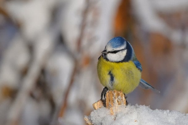 Антициклон Frieda блокує опади в Україні: якою буде погода у вівторок