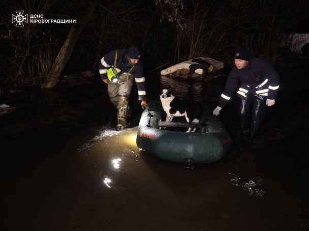 Стихия в Кировограде: приют «Бим» затоплен, сотни питомцев в опасности