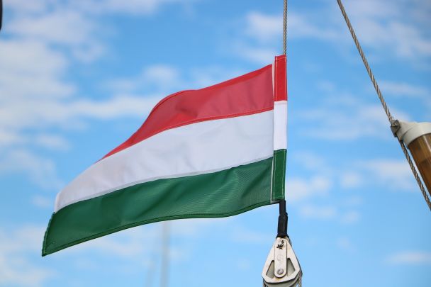 Реакція Угорщини на замах