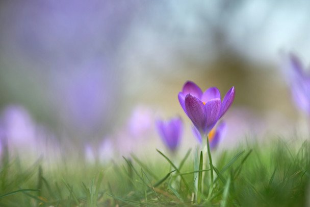 Іменини 24 березня: імена та значення