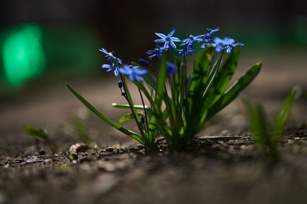Prognozuje się gwałtowne ochłodzenie w Ukrainie – meteorolożka podaje daty