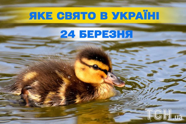 Ponad 1489 dni konfliktu: co wypada 24 marca 2026 roku? Siedem ważnych okazji