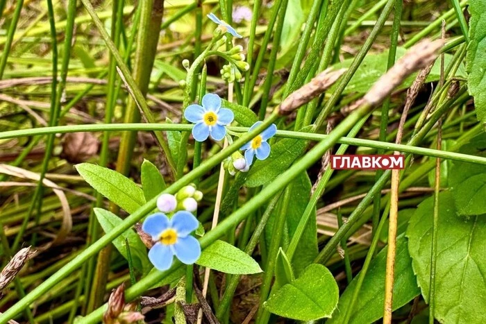 Ukrainę ogarnia upał: gdzie temperatura sięgnie 34 stopni