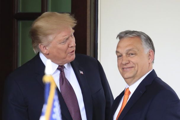 Трамп і угорський прапор на зустрічі