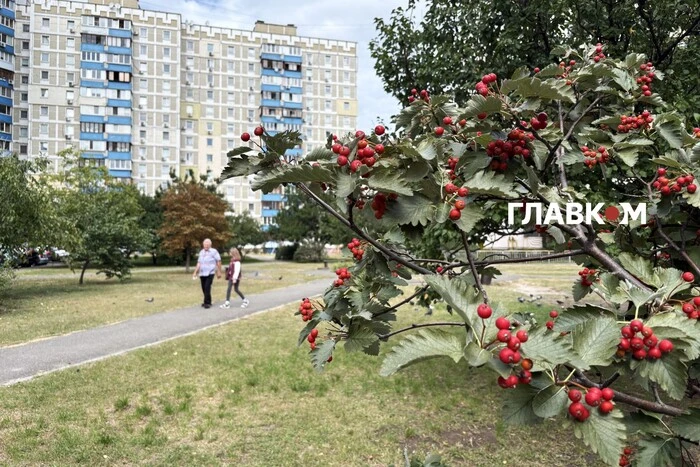 Україну з 20 вересня накриють арктичні маси: синоптики попереджають про заморозки