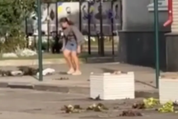 В Козятине женщина разрушила Аллею памяти погибшим героям: реакция властей