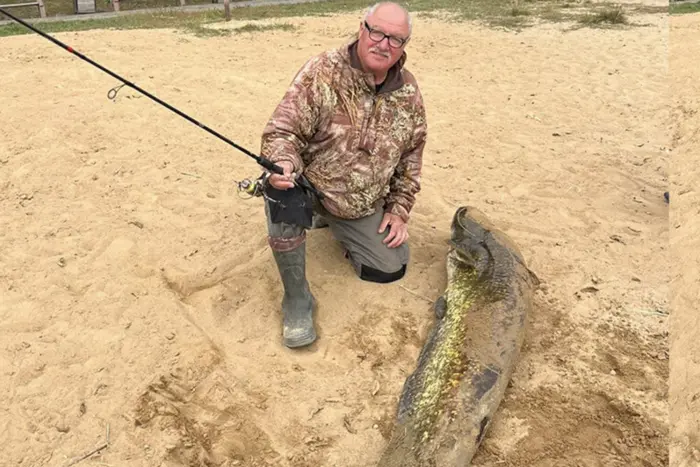 Ein riesiger Wels in der Region Winnyzja: Fischer haben einen zwei Meter langen Fisch gefangen