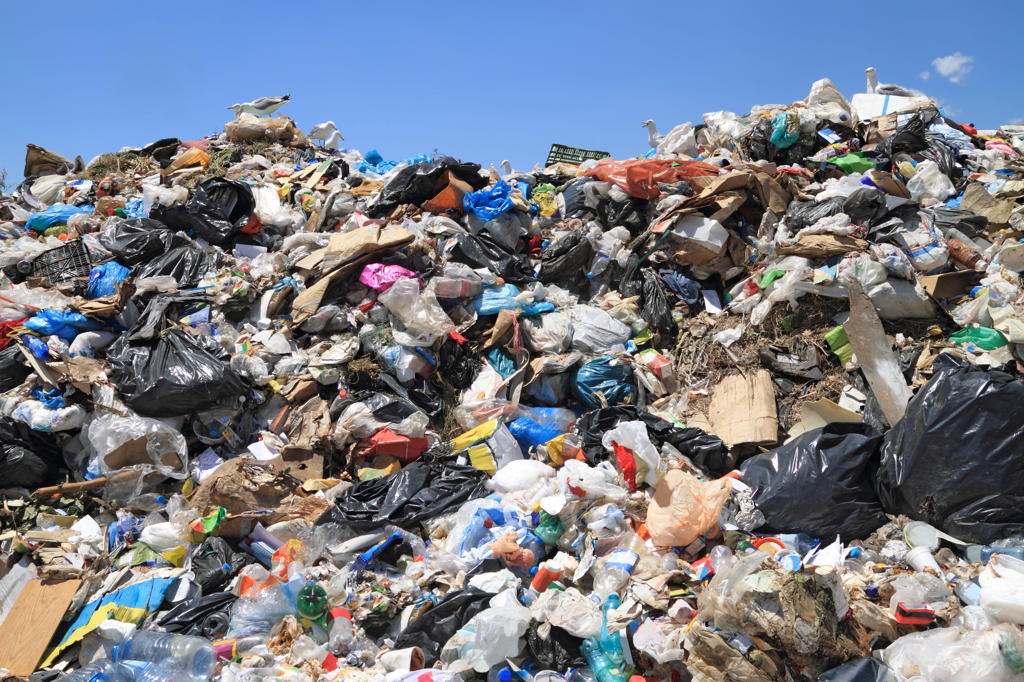 Plastikmüll wird zu Treibstoff: Chinesische Forscher präsentieren neue Methode