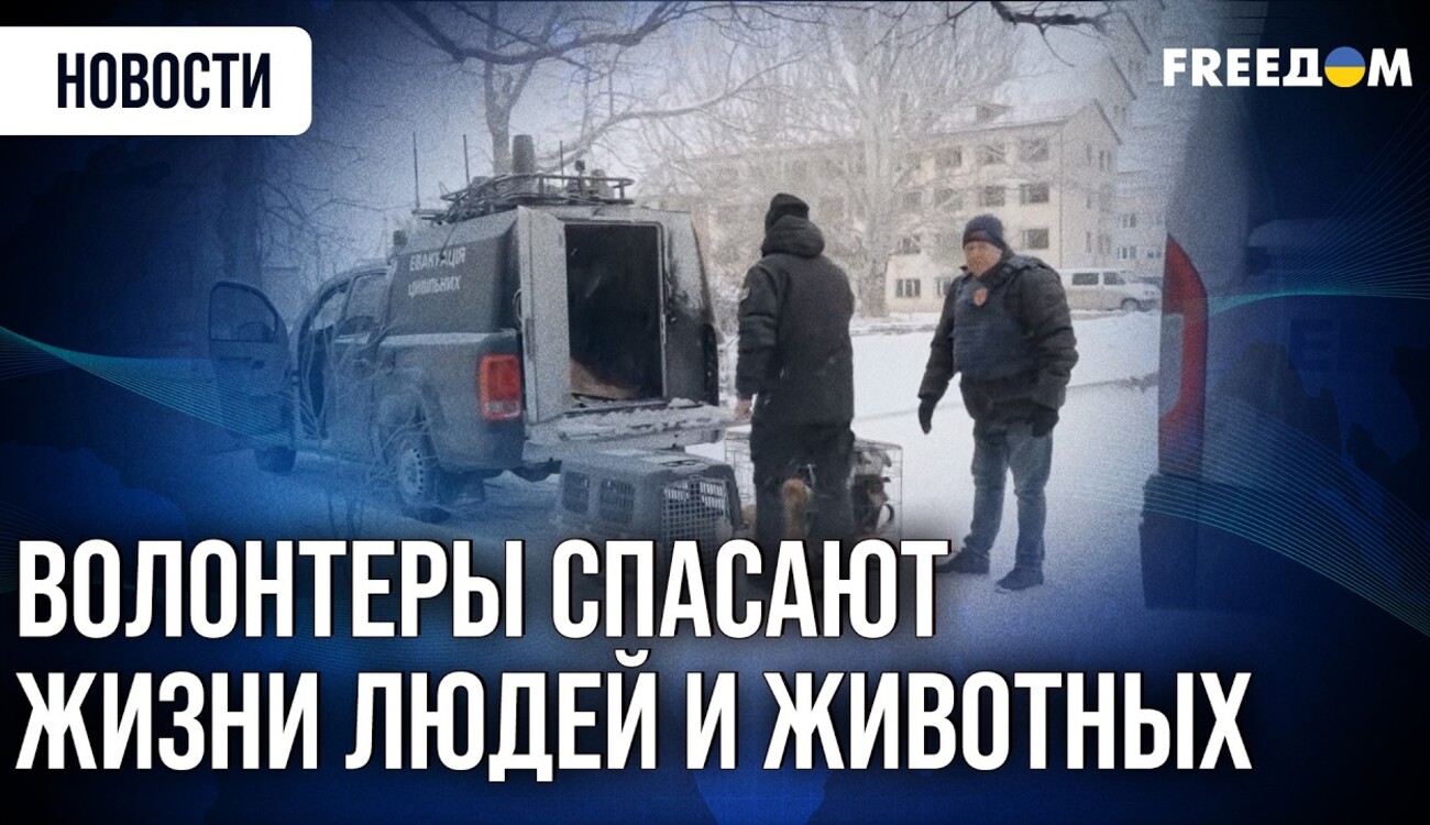 Волонтери евакуюють тварин з обстрілів