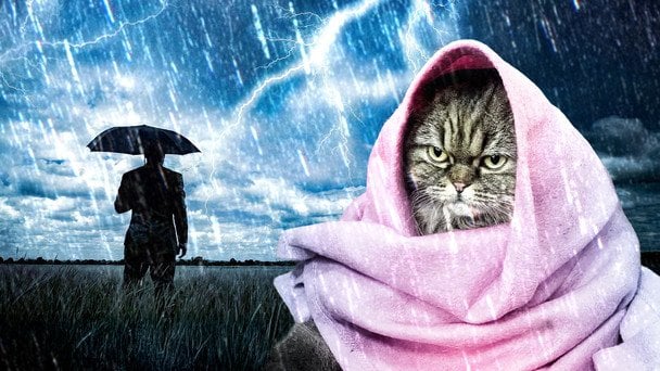 Od 13 grudnia na Ukrainie oczekuje się ochłodzenia i mrozów: prognoza synoptyków