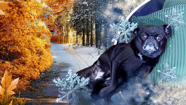 Druga dekada marca 2023: od upalnych +19°C po deszcz ze śniegiem