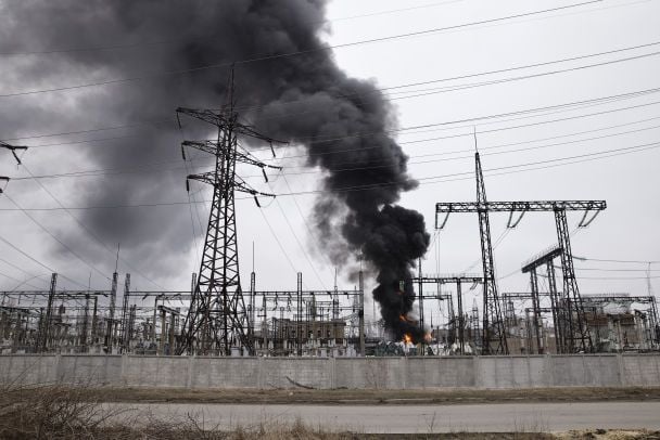 Experte Plachkov: Schildkröten können die Energieversorgung nicht vor Kinschalen schützen