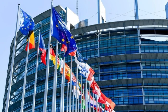 Вступ до ЄС. Українці за кордоном звернулися до Європарламенту