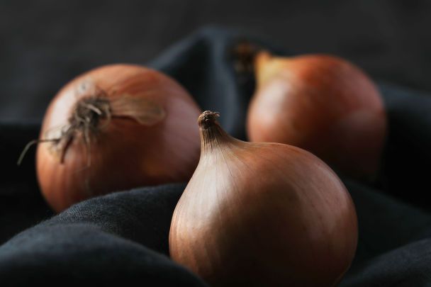 Cebulowe giganty: odmiany odporne i ważące nawet kilogram