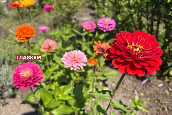 В Україні без опадів: погода на 29 серпня