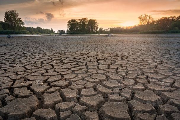 Susza tworzy superbakterie: jak zmiany klimatyczne osłabiają skuteczność antybiotyków