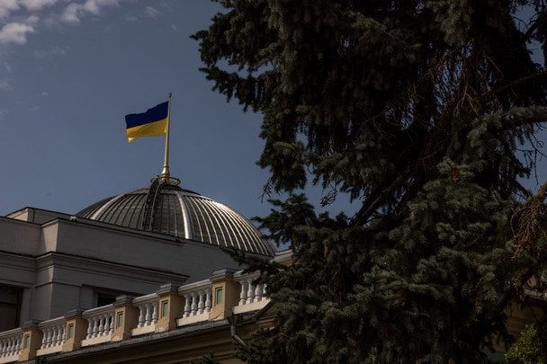 Комітет схвалив відставку Володіної