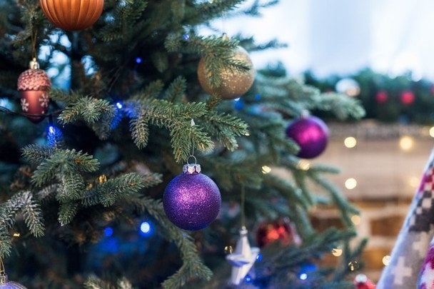 Jak zachować świeżość choinki na Święta: sekret odżywczego roztworu