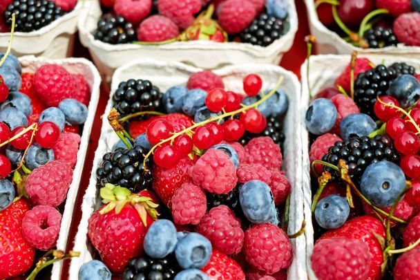 Jakie dania wspierają pamięć i opóźniają procesy starzenia? Eksperci wskazują kluczowe produkty