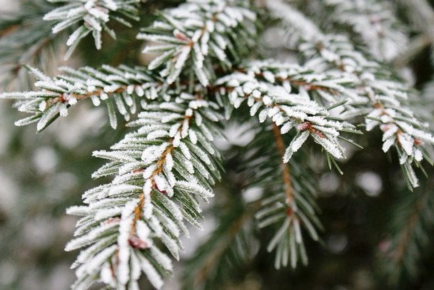 Na Boże Narodzenie na Ukrainie oczekiwane są rekordowe mrozy: meteorolog podał datę