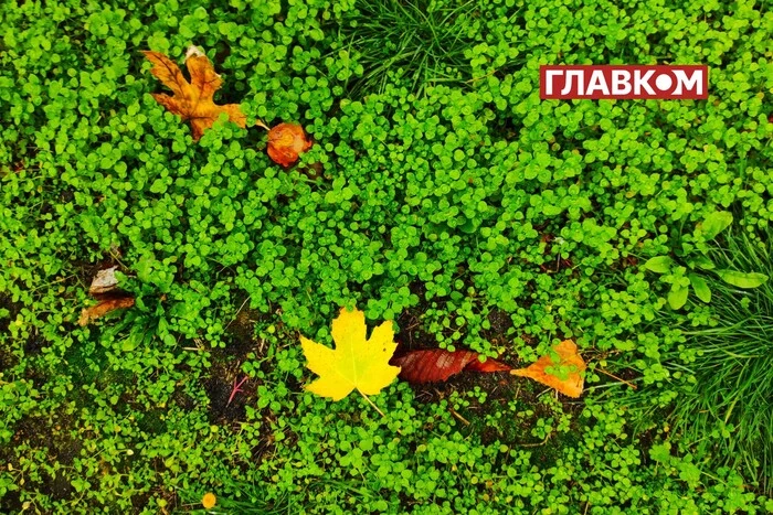 Ukrainische Städte werden von Regen und nassem Schnee betroffen: Wo und wann Kälteeinbrüche zu erwarten sind