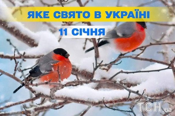 11 січня: які свята відзначають у 1417-й день війни в Україні
