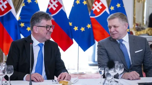 Радник Фіцо у відставці