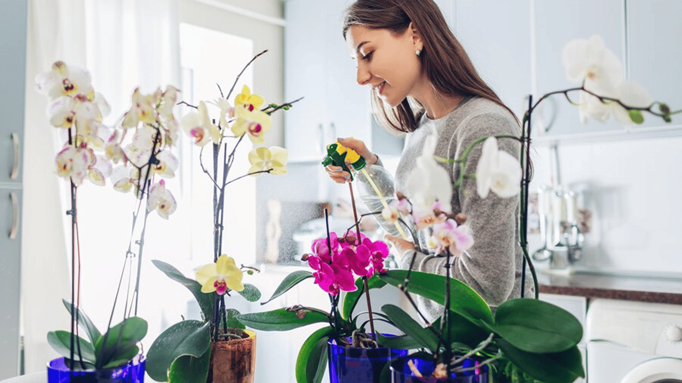 Jak wyhodować orchideę z liścia? Praktyczny przewodnik dla wybranych gatunków