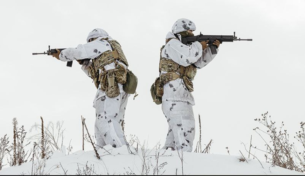 Сили оборони у Гришині