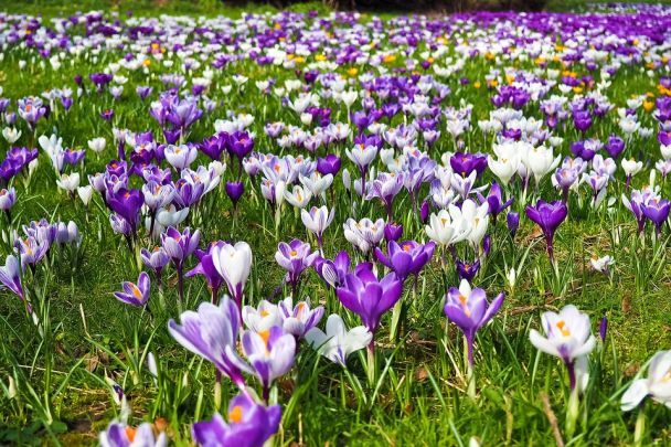 Wiosna 2026: meteorolodzy zapowiadają szybkie ocieplenie i groźne wezbrania