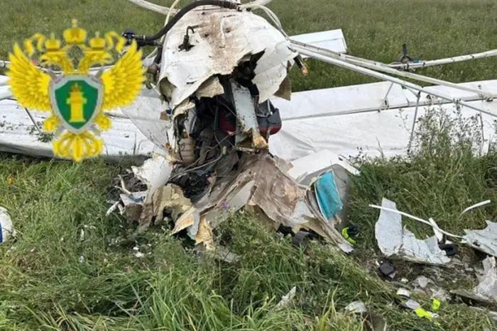 У Рязанській області розбився літак «Бекас»: пілот загинув